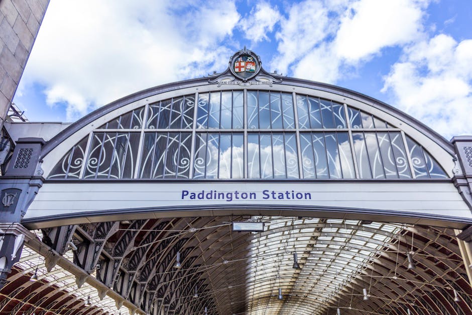 https://gardenerspaddington.org.uk/blog/best-gardeners-near-paddington-station-for-fast-bookings/
