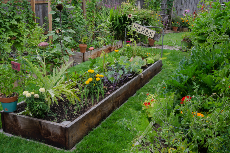 garden yard