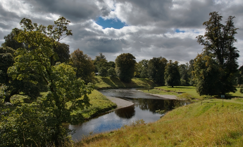 garden outdoor space