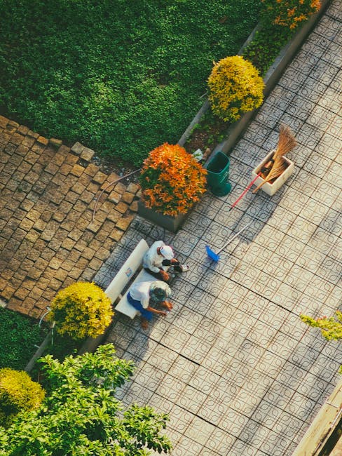 An aerial view of a garden patio featuring a checkered tiled surface being maintained by two workers. The workers, seated on a white bench, are handling gardening tools, with one wearing a hat and gloves, while the other appears to be examining a plant or soil. Nearby, a small blue dustpan and an assortment of garden tools, including a broom and rake, are stored in a white container. Adjacent to the patio, there is a lush green lawn bordered by a low hedge, with vibrant yellow and orange flowering shrubs adding color and contrast to the scene. The garden beds along the edge are filled with well-kept plants, and the overall environment is bathed in bright natural light, suggesting a clear day. The image captures a moment of outdoor garden maintenance, illustrating good landscaping work to keep the area tidy and attractive, and features the services of Gardeners Paddington.